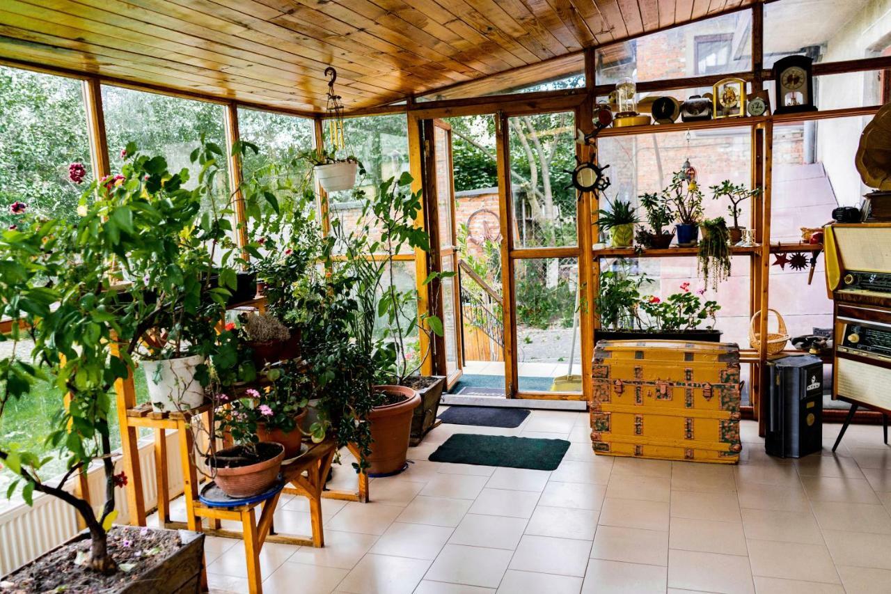 Hostel Villa Roma Lviv Buitenkant foto